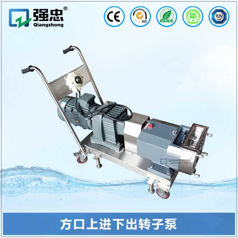 方口上進下出轉(zhuǎn)子泵 方口上進下出轉(zhuǎn)子泵